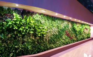 green wall installation