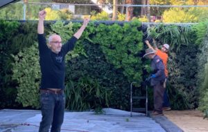 green wall vertical garden